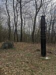 IMG_20250309_103032