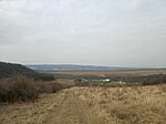 IMG_20250309_104537