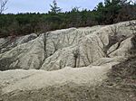 IMG_20250314_121350