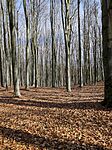 IMG_20250316_130646