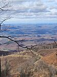 IMG_20250316_133810