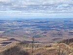 IMG_20250316_133905