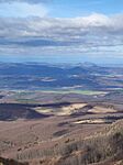 IMG_20250316_133909
