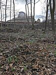 IMG_20250316_134520