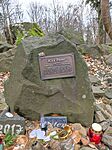 IMG_20250317_123849
