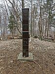 IMG_20250317_123325