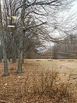 IMG_20250317_135337