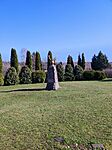 IMG_20250318_093208