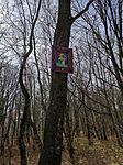 IMG_20250322_111246
