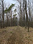 IMG_20250322_130124