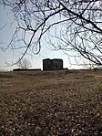 IMG_20250304_095803