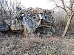 IMG_20250309_144101.jpg