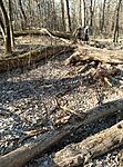 IMG_20250222_141921