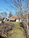 IMG_20250305_122222