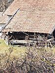 IMG_20250305_123408