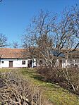 IMG_20250305_123400