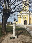 IMG_20250312_123051