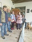 IMG_20250312_121256