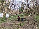 IMG_20250313_151008