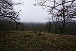 DSC00778