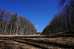 DSC00906