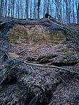 IMG_20250301_175723