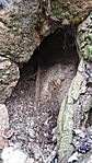 IMG_20250302_152828