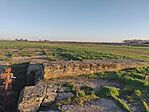 IMG_20250320_170356_MP
