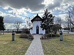 IMG_7338