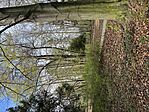 IMG_9717