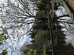 IMG_9718