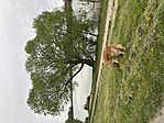 IMG_9762