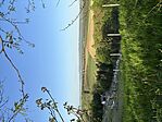 IMG_9822