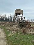 IMG_7431
