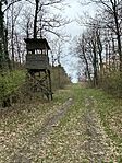IMG_7420