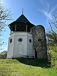 IMG_7742
