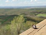IMG_20250419_125458