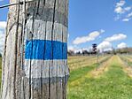 IMG_20250419_131226