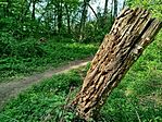 IMG_20250423_152857