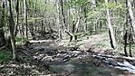 20250419_113800(0)