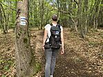 IMG_7467