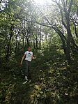 IMG_20250424_115517