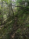 IMG_20250424_115515