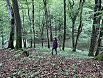 IMG_0606