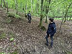 IMG_0611