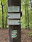 IMG_0612