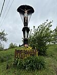 IMG_0617