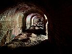 IMG_0594