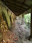 IMG_0595