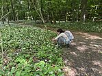 IMG_0636